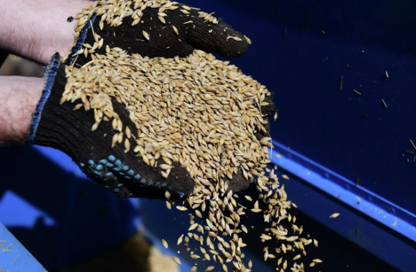 2023թ-ին Հայաստանից կարգելվի հացահատիկի ու ձեթի արտահանումը